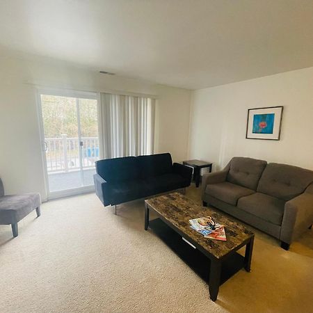 Large, Clean, Comfortable, 1Br Near Einstein Hos Elkins Park Exterior foto